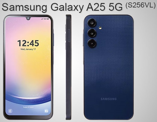 Samsung S256VL FRP Remove File